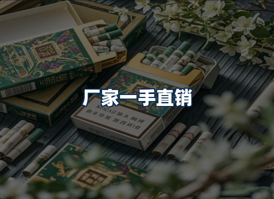 专业团队办公环境